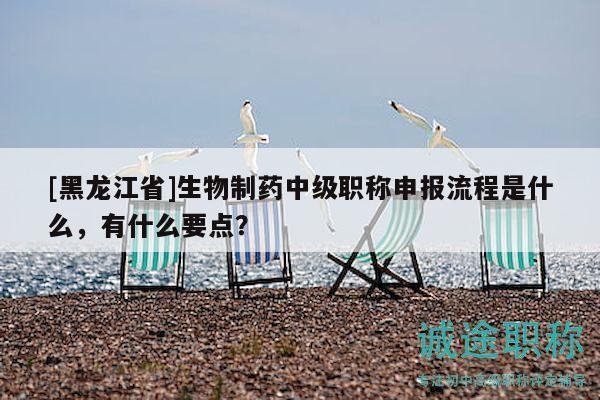 [黑龙江省]生物制药中级职称申报流程是什么，有什么要点？
