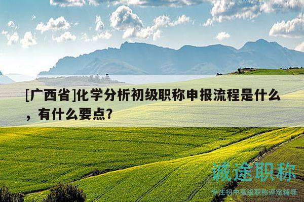 [广西省]化学分析初级职称申报流程是什么，有什么要点？