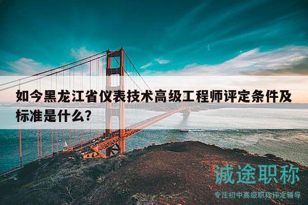 如今黑龙江省仪表技术高级工程师评定条件及标准是什么？