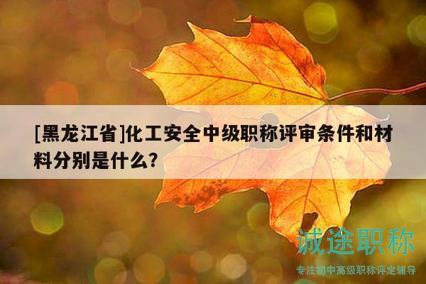 [黑龙江省]化工安全中级职称评审条件和材料分别是什么？