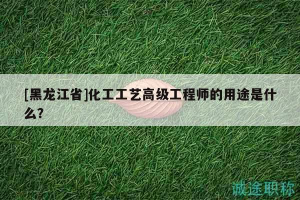 [黑龙江省]化工工艺高级工程师的用途是什么？