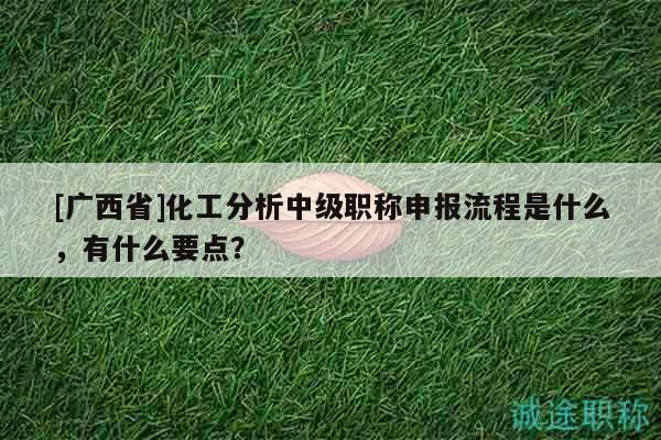 [广西省]化工分析中级职称申报流程是什么，有什么要点？