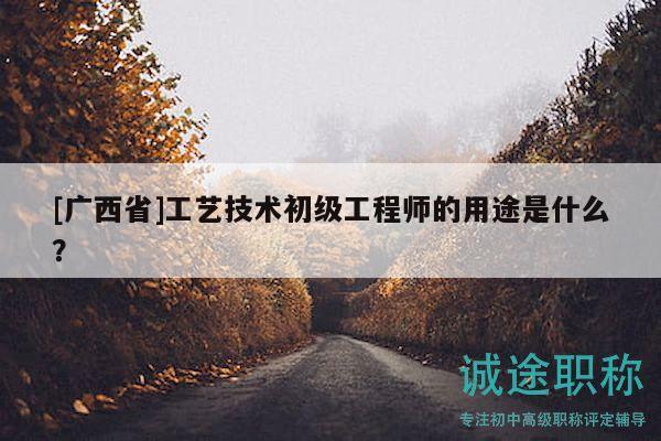 [广西省]工艺技术初级工程师的用途是什么？
