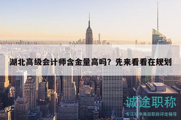 湖北高级会计师含金量高吗？先来看看在规划