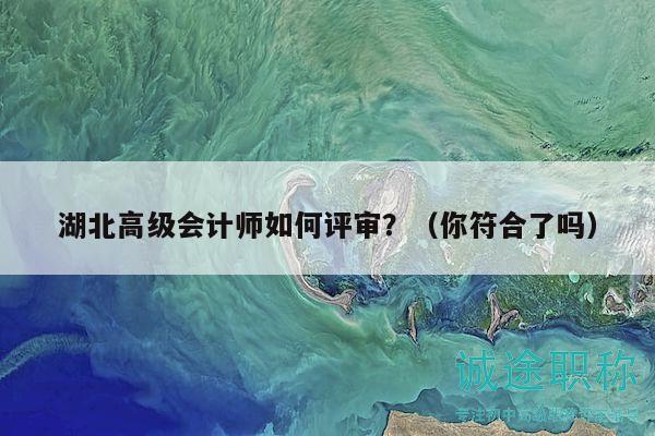 湖北高级会计师如何评审？（你符合了吗）