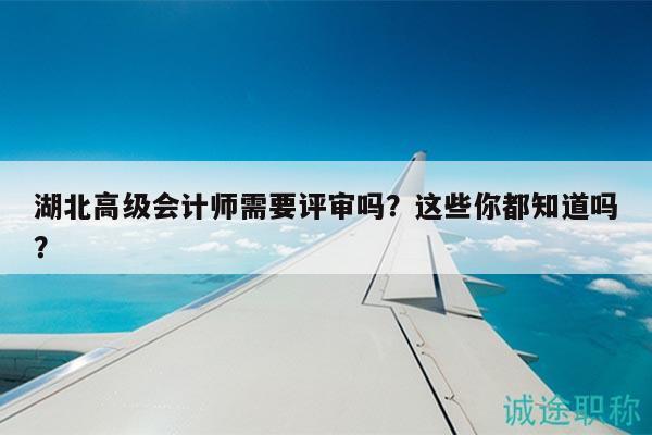 湖北高级会计师需要评审吗？这些你都知道吗？