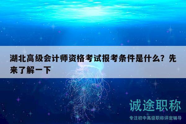 湖北高级会计师资格考试报考条件是什么？先来了解一下