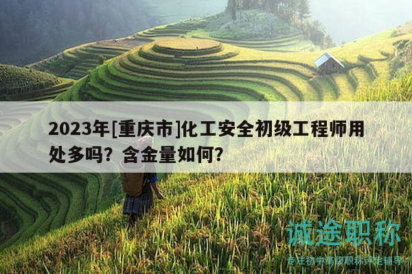 2023年[重庆市]化工安全初级工程师用处多吗？含金量如何？