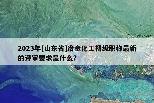 2023年[山东省]冶金化工初级职称最新的评审要求是什么？