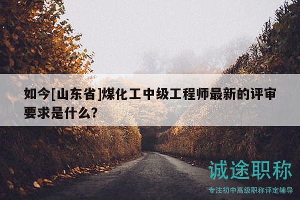 如今[山东省]煤化工中级工程师最新的评审要求是什么？