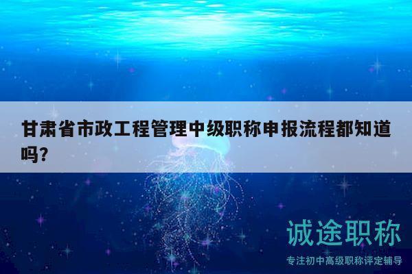 甘肃省市政工程管理中级职称申报流程都知道吗？