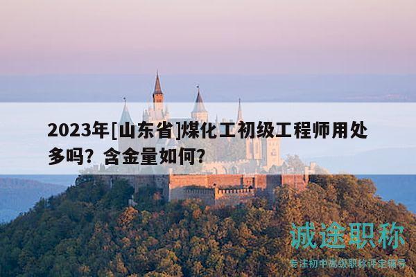 2023年[山东省]煤化工初级工程师用处多吗？含金量如何？