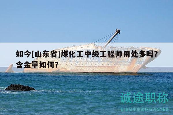 如今[山东省]煤化工中级工程师用处多吗？含金量如何？