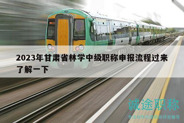 2023年甘肃省林学中级职称申报流程过来了解一下