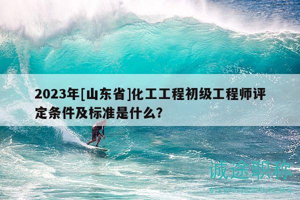 2023年[山东省]化工工程初级工程师评定条件及标准是什么？