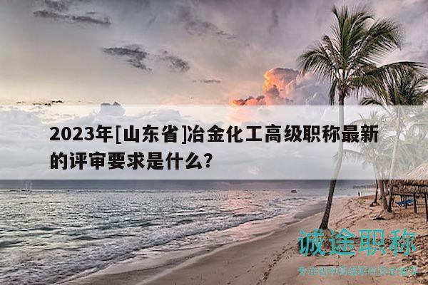 2023年[山东省]冶金化工高级职称最新的评审要求是什么？