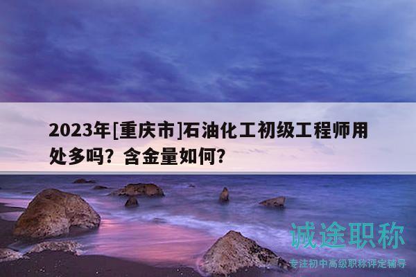 2023年[重庆市]石油化工初级工程师用处多吗？含金量如何？