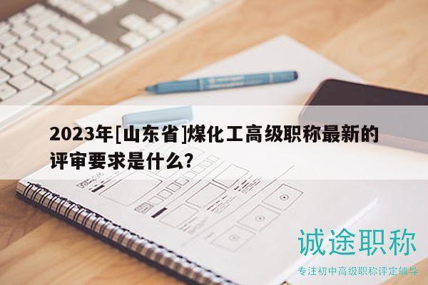 2023年[山东省]煤化工高级职称最新的评审要求是什么？