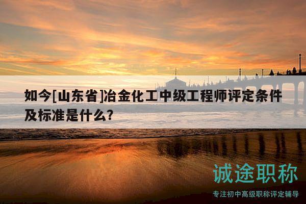 如今[山东省]冶金化工中级工程师评定条件及标准是什么？