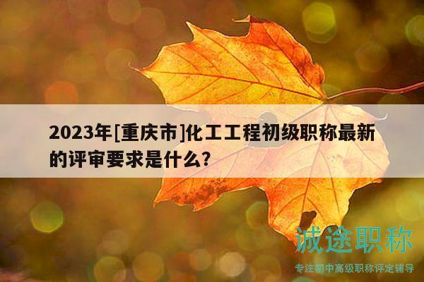 2023年[重庆市]化工工程初级职称最新的评审要求是什么？