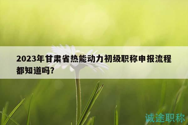 2023年甘肃省热能动力初级职称申报流程都知道吗？