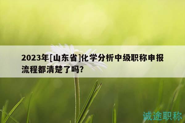 2023年[山东省]化学分析中级职称申报流程都清楚了吗？