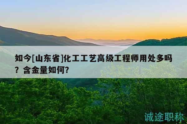 如今[山东省]化工工艺高级工程师用处多吗？含金量如何？