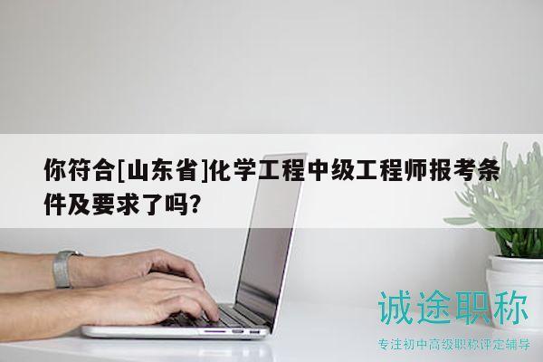 你符合[山东省]化学工程中级工程师报考条件及要求了吗？