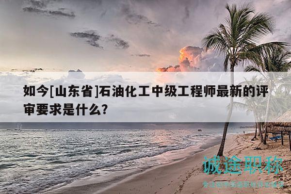 如今[山东省]石油化工中级工程师最新的评审要求是什么？