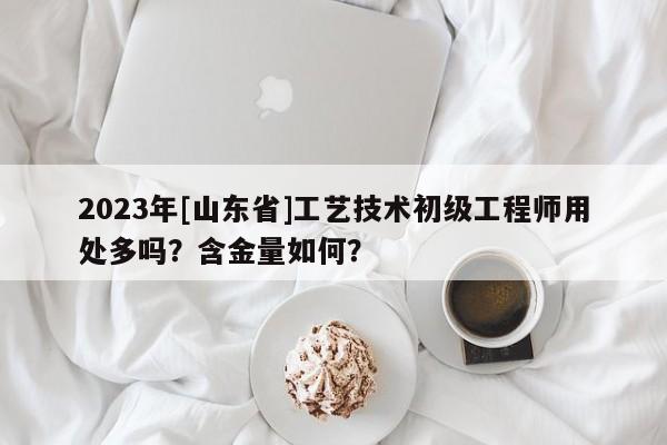 2023年[山东省]工艺技术初级工程师用处多吗？含金量如何？