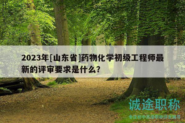 2023年[山东省]药物化学初级工程师最新的评审要求是什么？