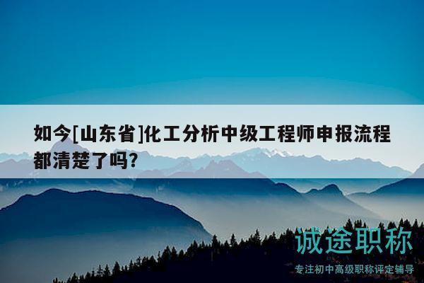 如今[山东省]化工分析中级工程师申报流程都清楚了吗？
