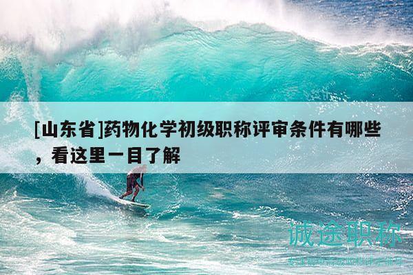 [山东省]药物化学初级职称评审条件有哪些，看这里一目了解