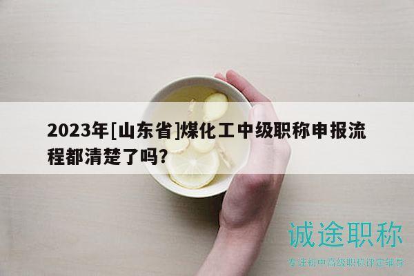 2023年[山东省]煤化工中级职称申报流程都清楚了吗？