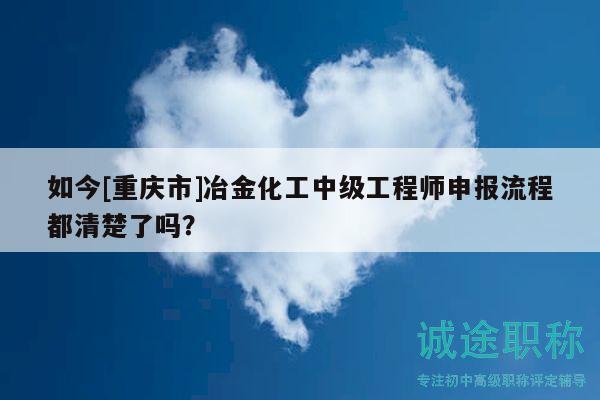 如今[重庆市]冶金化工中级工程师申报流程都清楚了吗？