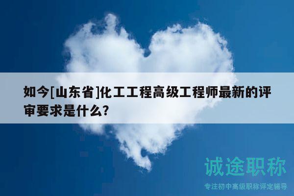 如今[山东省]化工工程高级工程师最新的评审要求是什么？