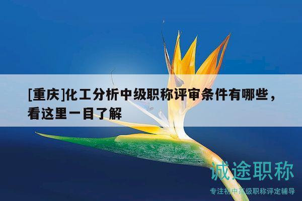 [重庆]化工分析中级职称评审条件有哪些，看这里一目了解