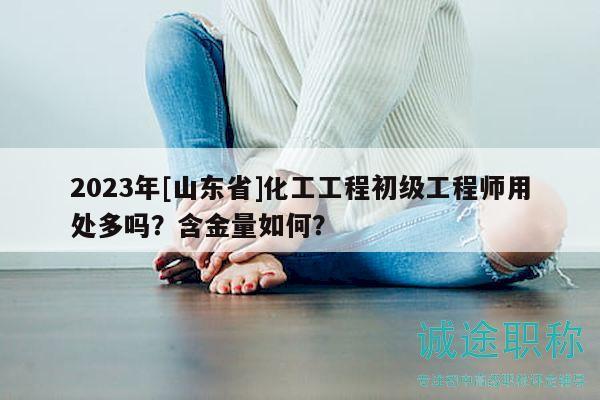2023年[山东省]化工工程初级工程师用处多吗？含金量如何？