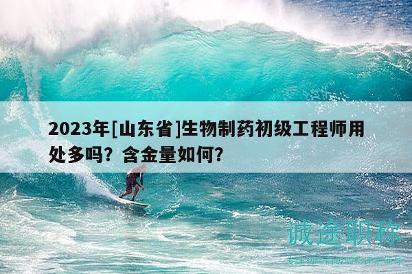 2023年[山东省]生物制药初级工程师用处多吗？含金量如何？