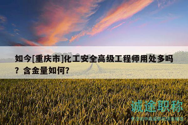 如今[重庆市]化工安全高级工程师用处多吗？含金量如何？