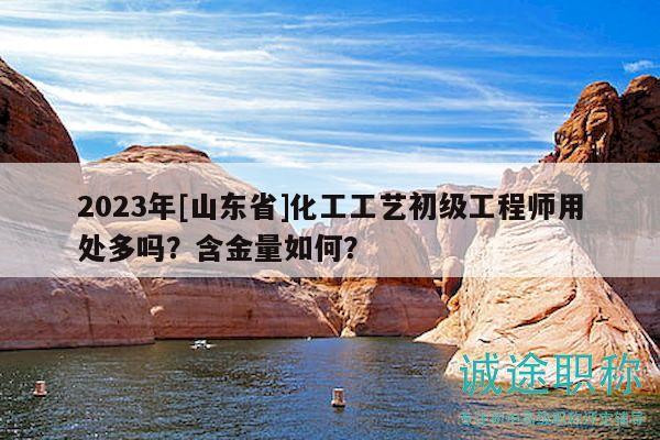 2023年[山东省]化工工艺初级工程师用处多吗？含金量如何？