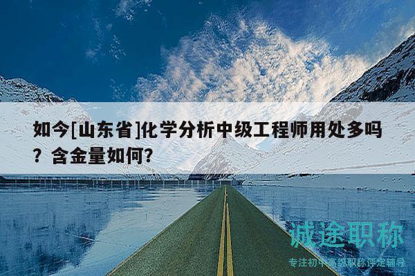 如今[山东省]化学分析中级工程师用处多吗？含金量如何？