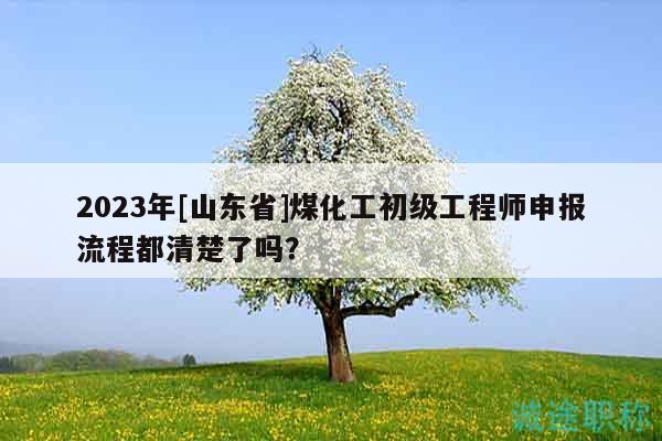 2023年[山东省]煤化工初级工程师申报流程都清楚了吗？