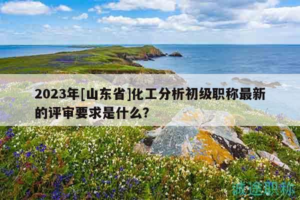 2023年[山东省]化工分析初级职称最新的评审要求是什么？