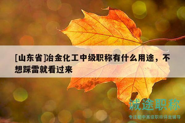 [山东省]冶金化工中级职称有什么用途，不想踩雷就看过来