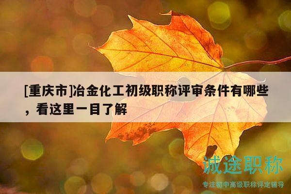 [重庆市]冶金化工初级职称评审条件有哪些，看这里一目了解