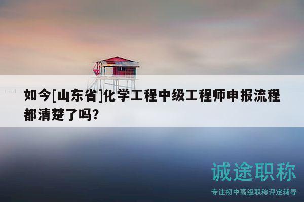 如今[山东省]化学工程中级工程师申报流程都清楚了吗？