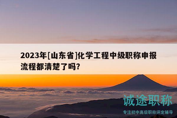 2023年[山东省]化学工程中级职称申报流程都清楚了吗？