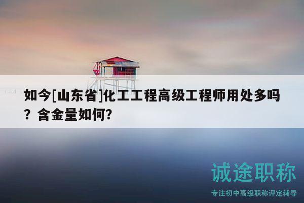 如今[山东省]化工工程高级工程师用处多吗？含金量如何？