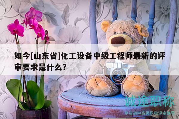 如今[山东省]化工设备中级工程师最新的评审要求是什么？